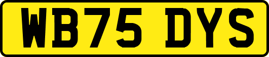 WB75DYS
