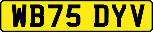 WB75DYV