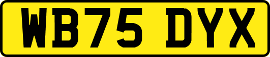 WB75DYX
