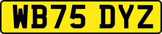 WB75DYZ