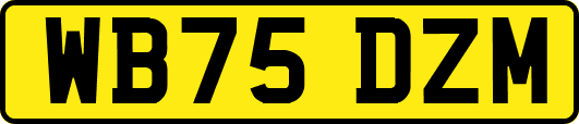 WB75DZM