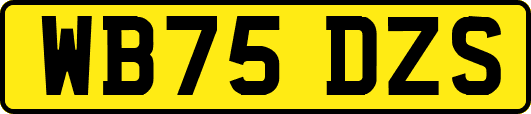 WB75DZS