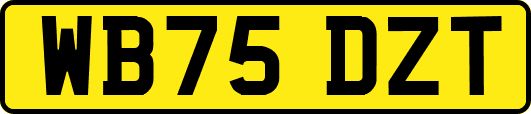 WB75DZT