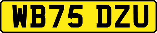WB75DZU