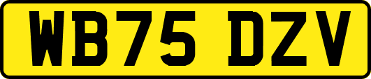 WB75DZV