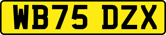 WB75DZX