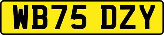 WB75DZY