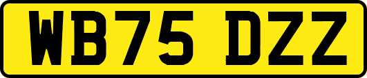 WB75DZZ