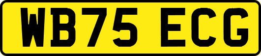 WB75ECG