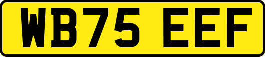 WB75EEF