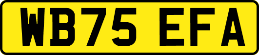 WB75EFA