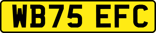 WB75EFC
