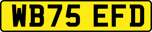 WB75EFD