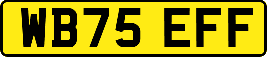 WB75EFF