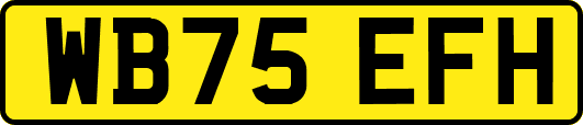 WB75EFH