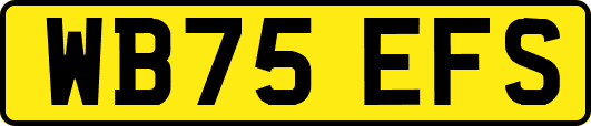 WB75EFS