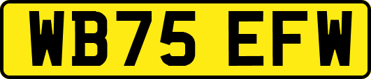 WB75EFW