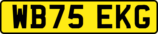 WB75EKG