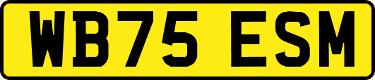 WB75ESM