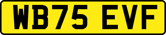 WB75EVF