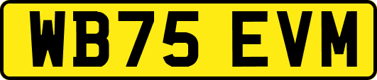 WB75EVM