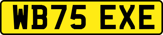 WB75EXE
