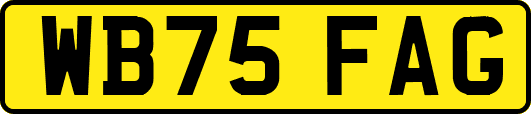 WB75FAG
