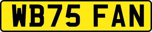 WB75FAN