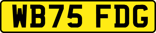 WB75FDG
