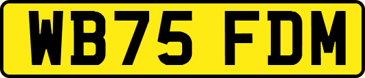WB75FDM