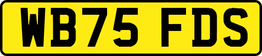 WB75FDS