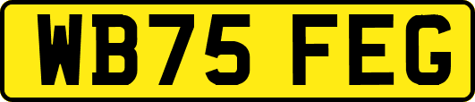 WB75FEG