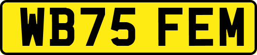 WB75FEM