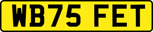 WB75FET
