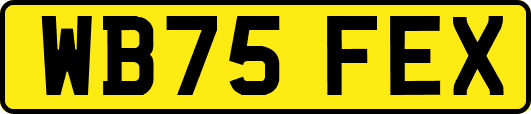 WB75FEX