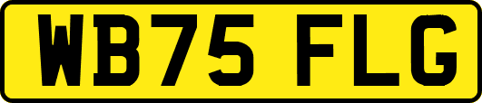 WB75FLG