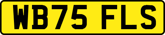 WB75FLS