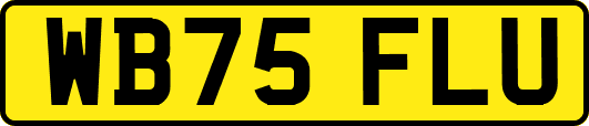 WB75FLU