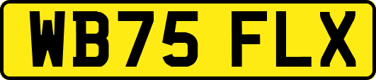 WB75FLX