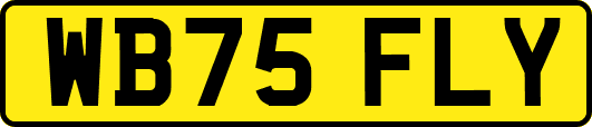 WB75FLY