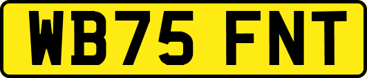 WB75FNT