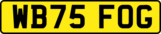 WB75FOG