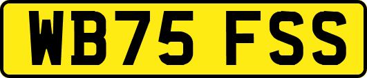 WB75FSS