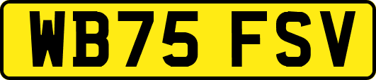WB75FSV