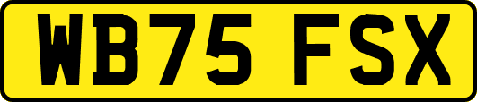 WB75FSX