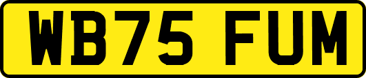 WB75FUM