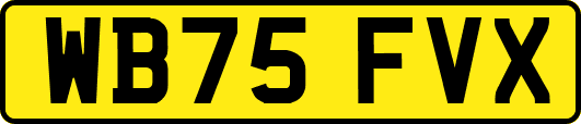 WB75FVX