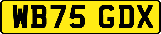 WB75GDX