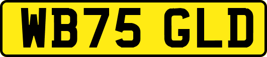 WB75GLD