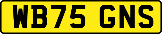 WB75GNS